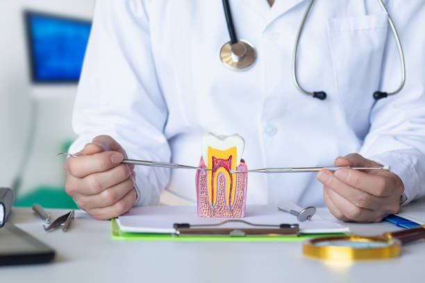 Best Pediatric Emergency Dentist in Versailles, OH
